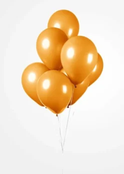 Ballonger Orange, 30 cm, 25 stk