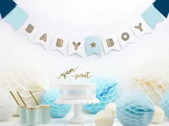 Banner Baby Boy, 160 x 15 cm