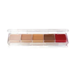 Ben Nye Tattoo Cover Alcohol Palette