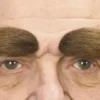 Brune Øyenbryn