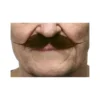 Brun Gent Bart