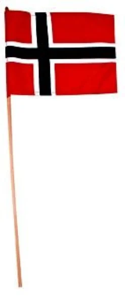 Flagg Norge 20 x 28 cm