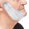 Grått Kinnskjegg