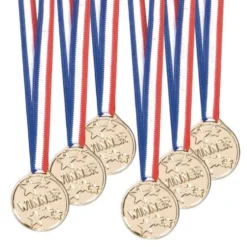 6 Medaljer, Winner