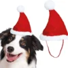 Nisselue til hund