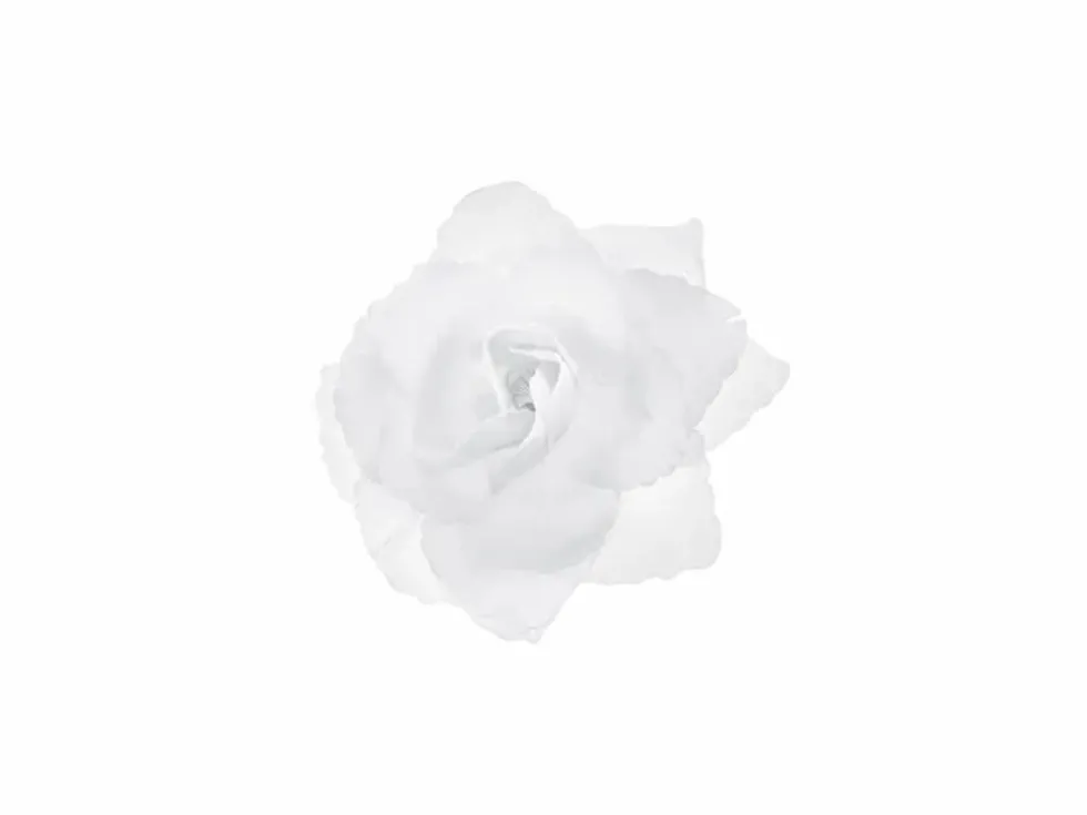 Selvklebende Hvite Roser 9cm, 24 stk.